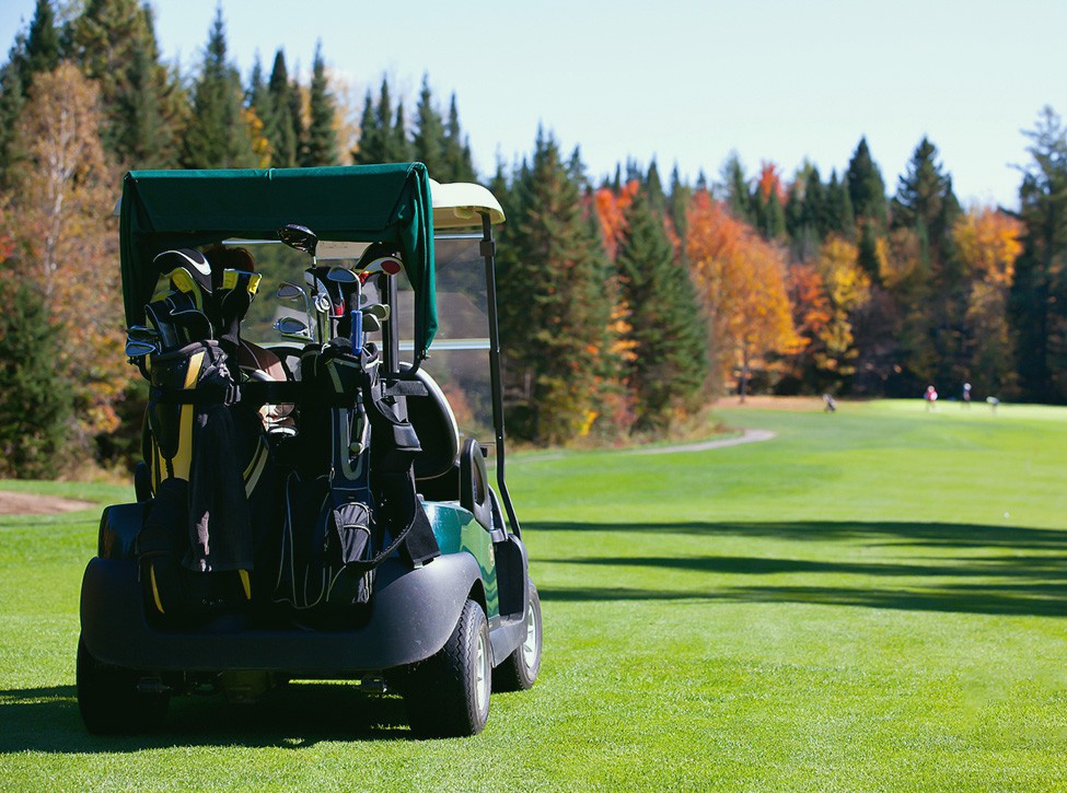 Green Energy on the Fairway: LiFePO4 Golf Cart Battery Supplier Selection Guide